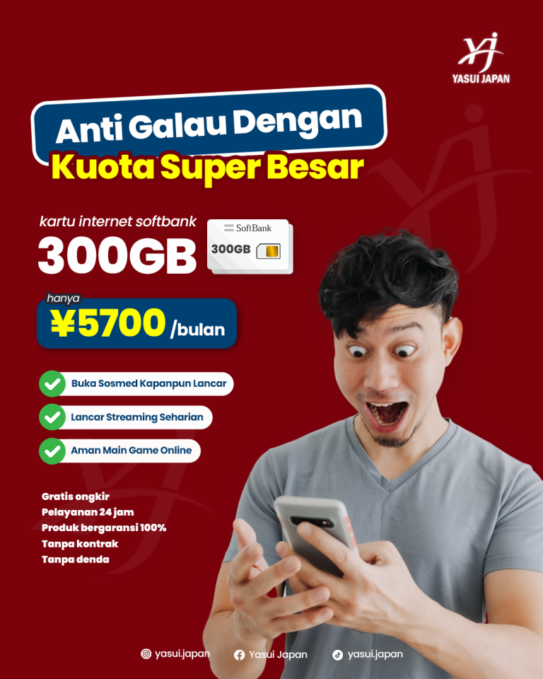300gb softbank